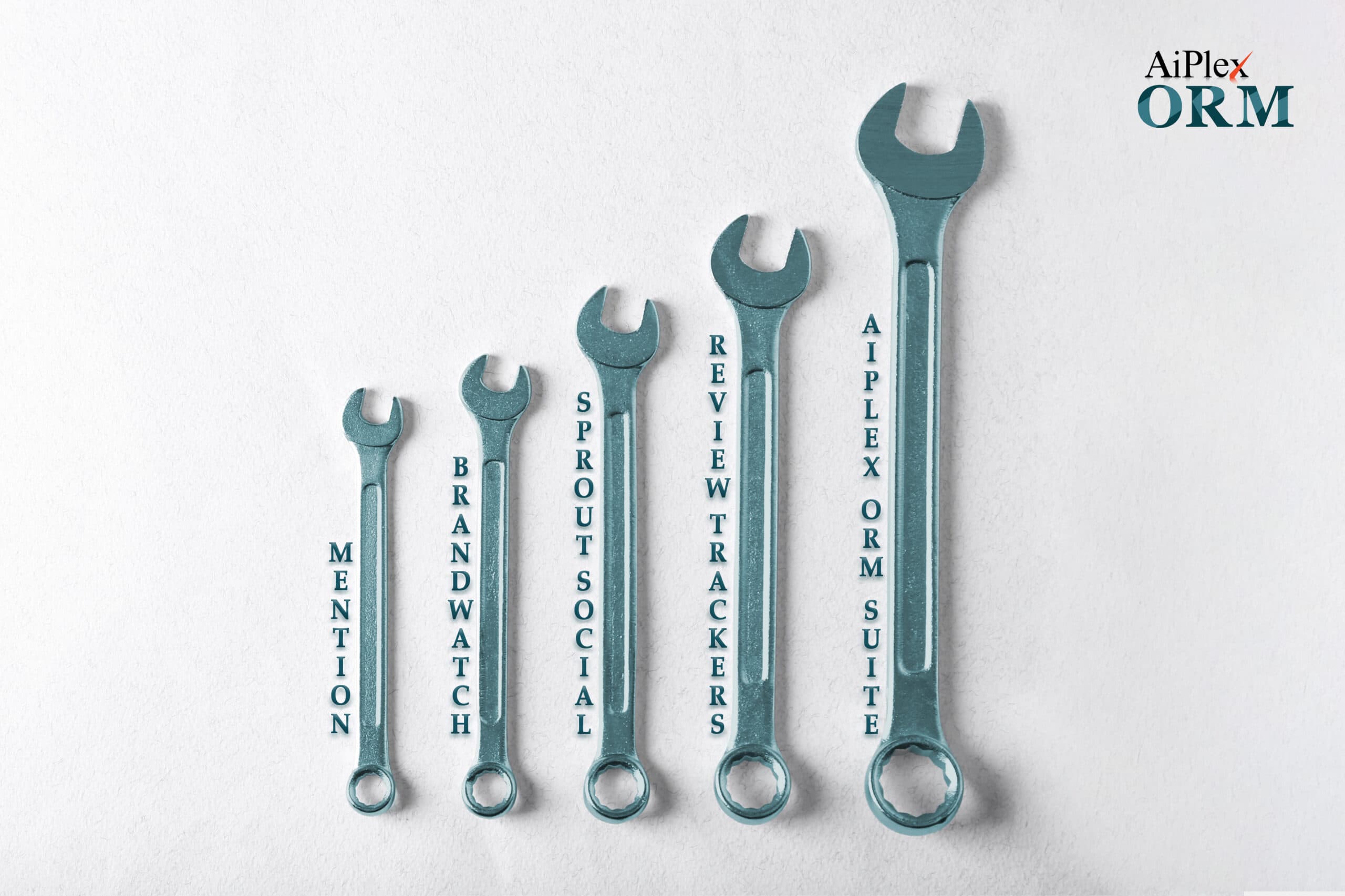 Best Tools for Brand Reputation Management 2025